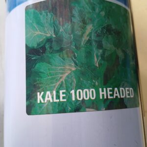 KALE AMIR 250G