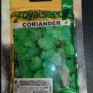 DHANIA RS 10G