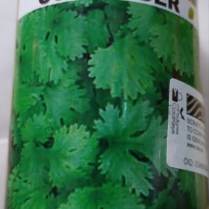 DHANIA RS 100G