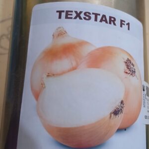 ONION TEXSTAR 250G
