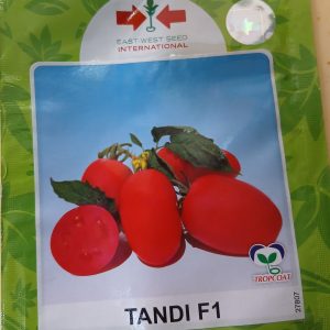 TOMATO TANDI 25G