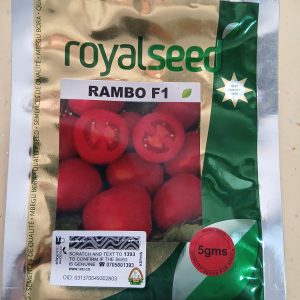 TOMATO RAMBO 5G
