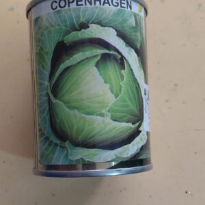 CABBAGE COPHEN Royal seeds 50G