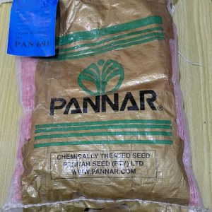 MAIZE PAN 691