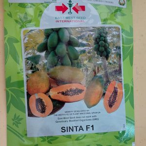 PAWPAW SINTA 100SDS