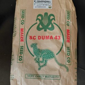 MAIZE DUMA 419 2KG