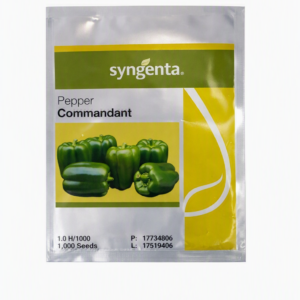 PEPPER  COMMANDANT 1000sds Sygenta