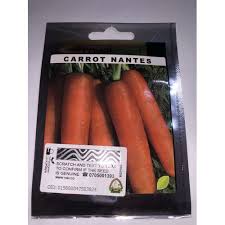 CARROT AMIR 10G