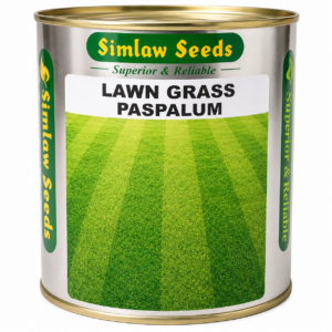 LAWN GRASS PLAY MIX 500G