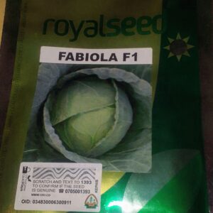 CABBAGE FABIOLA 2.5KSDS