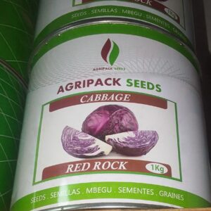 CABBAGE RED ROCK 1KG AGRI