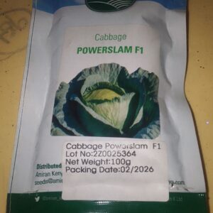 CABBAGE POWERSLAM 100G