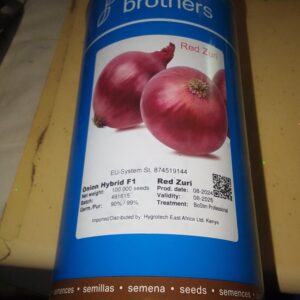 ONION ZURI 100 000SDS
