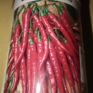 PEPPER CAYENE RS 100GM