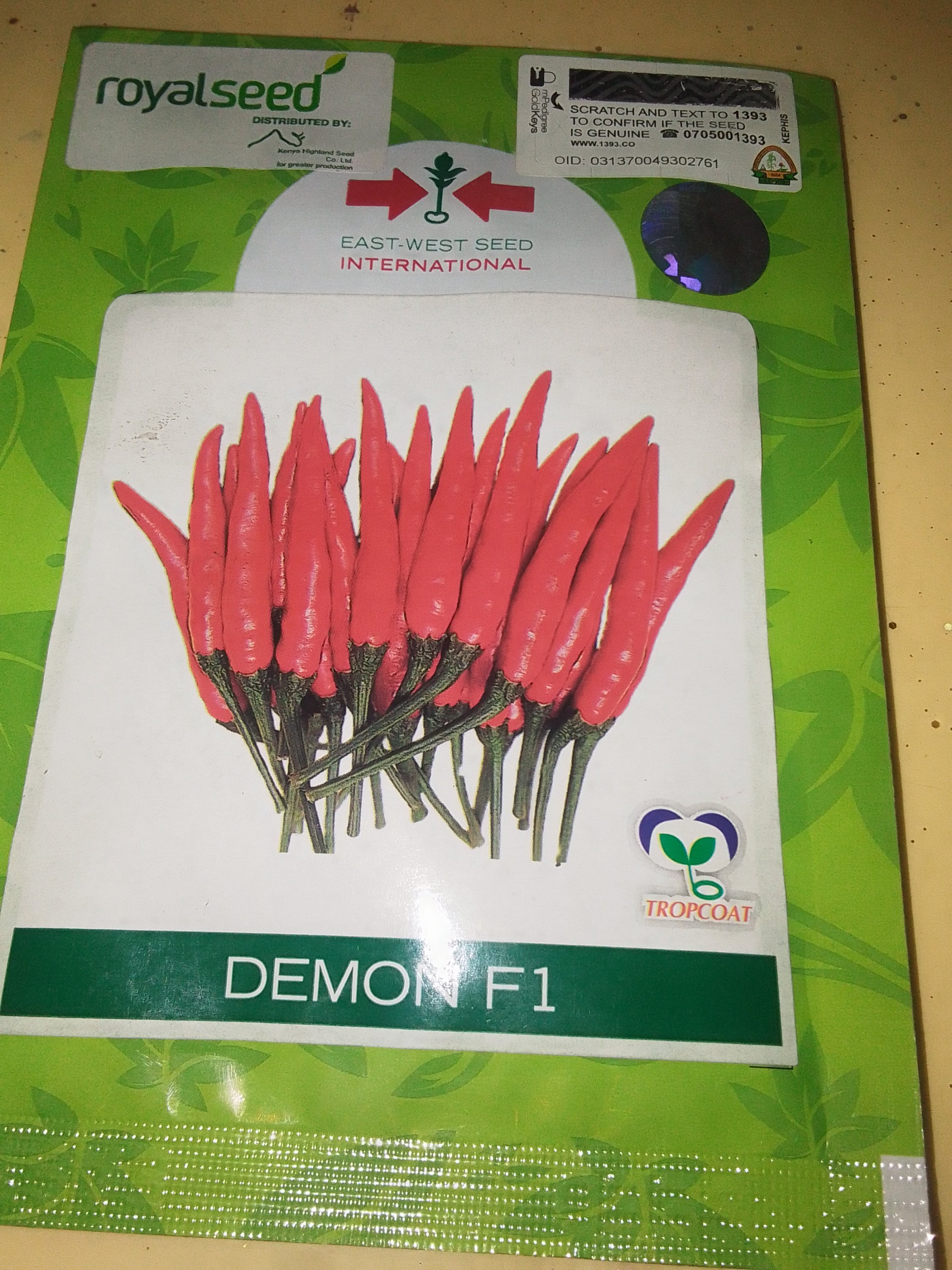 PEPPER DEMON F1 10G Royal seeds