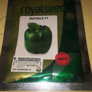 Pepper buffalo F1 10G ROYAL SEEDS