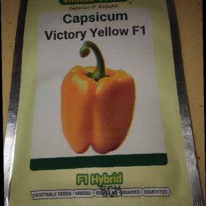 PEPPER VICTORY F1 YELLOW SIMLAW