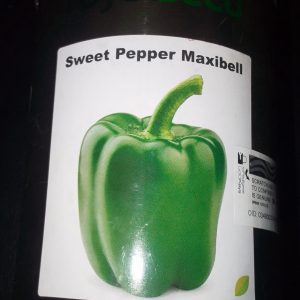 PEPPER MAXBELL 250g Royal