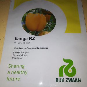pepper Ilanga 100sds