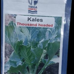 KALE 25G TWIGA