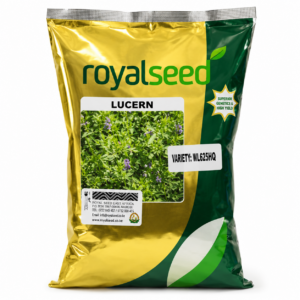 LUCERN RS 100G