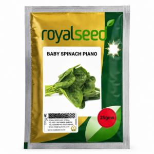 SPINACH AMIR 50G