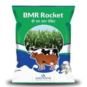 FORAGE BMR ROCKET 1KG