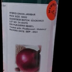JAMBER F1 ONION 500G: