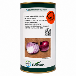 ONION RED HALEN 50G