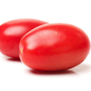 TOMATO TERSAL10G
