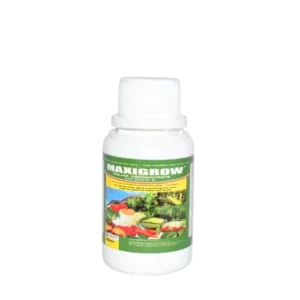 MAXIGROW 24.24.18 1LTR