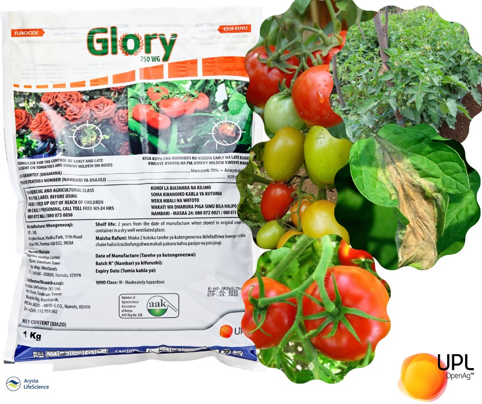 GLORY 1kg 750WP