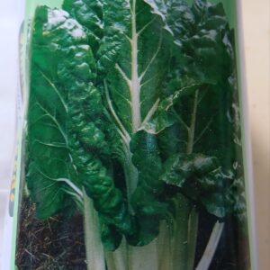 SPINACH SIM 100G