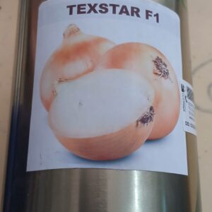 ONION TEXSTAR F1 500G