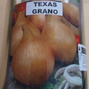 ONION TEXAS GRANO 250G ROYAL SEEDS