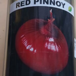 ONION RED PINNOY 500G