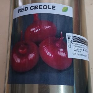 ONION RED CREOLE 500G ROYAL SEEDS