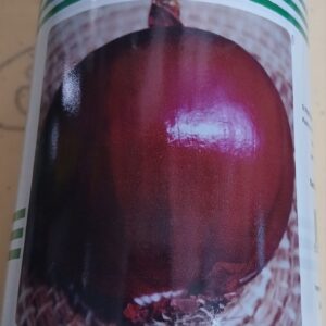 ONION JULIO 500G TECHNISEM