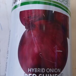 ONION RED SHINE 500G