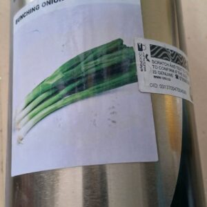 BUNCHING ONION 500G ROYAL SEEDS