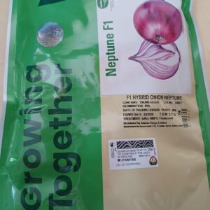 ONION NEPTUNE 150 000 SEEDS
