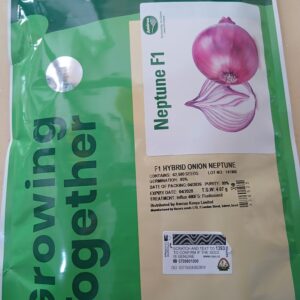ONION NEPTUNE 62500 SEEDS