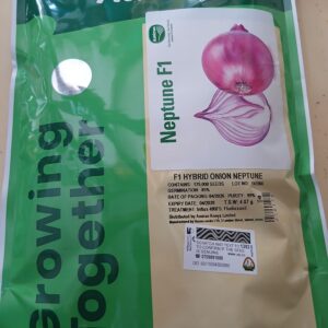 ONION NEPTUNE 125000 SEEDS