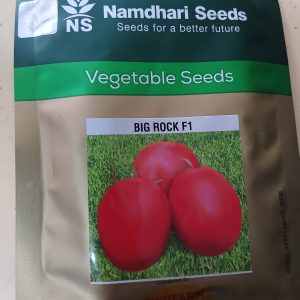 BIG ROCK F1 2500 SEEDS