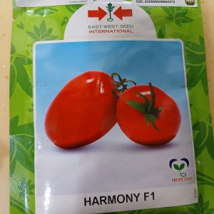 TOMATO HARMONY F1 5000 SEEDS