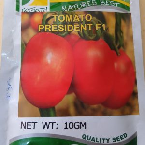 TOMATO PRESIDENT F1 10G