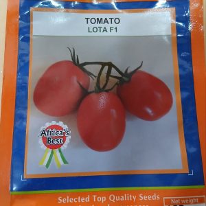 TOMATO LOTA F1 100 SEEDS