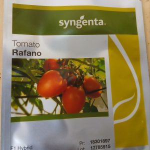 TOMATO RAFANO FI 1000 SEEDS