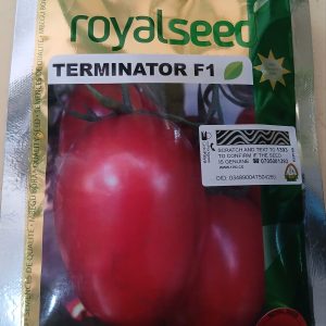 TOMATO TERMINATOR F1 25G