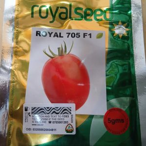 TOMATO ROYAL 705 F1 10G